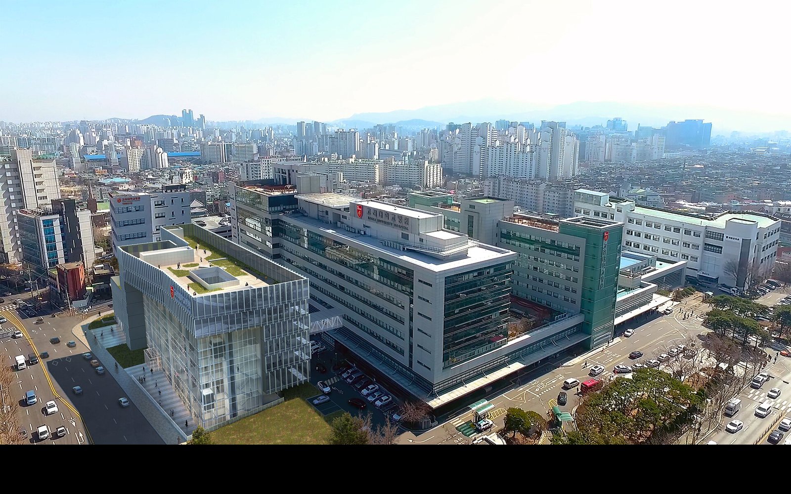 Korea University Guro Hospital